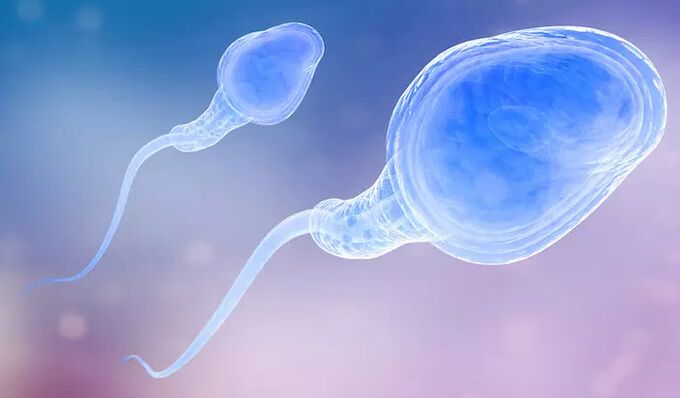 Sperma kann im Präejakulat eines Mannes vorhanden sein