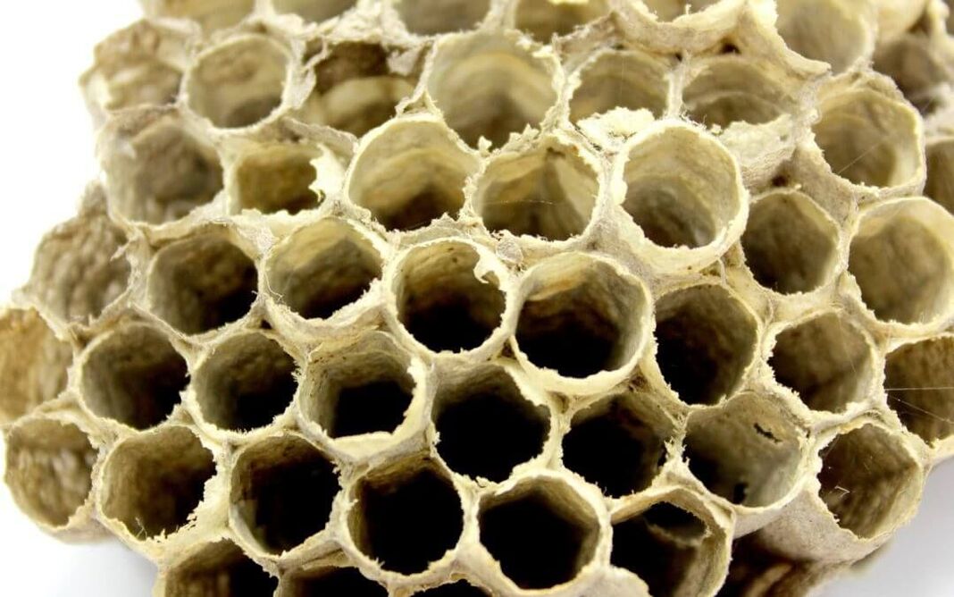 Bienenleim zur Potenzsteigerung